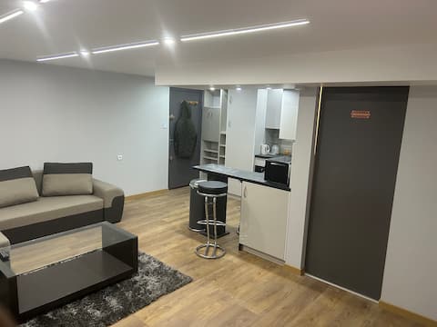 Propriété Airbnb réussie: Pleasant Robertsau Apartment à Robertsau