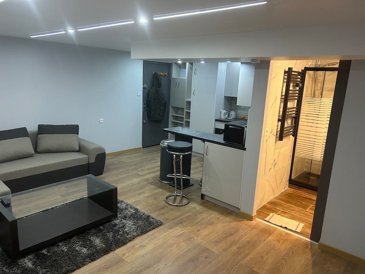 Propriété Airbnb réussie: Pleasant Robertsau Apartment à Robertsau