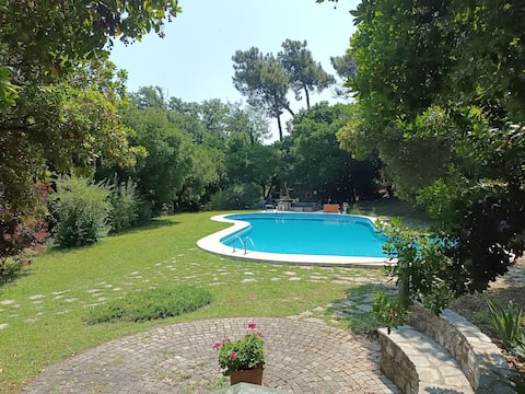 Villa Ameglia with park pool the sea and mountains