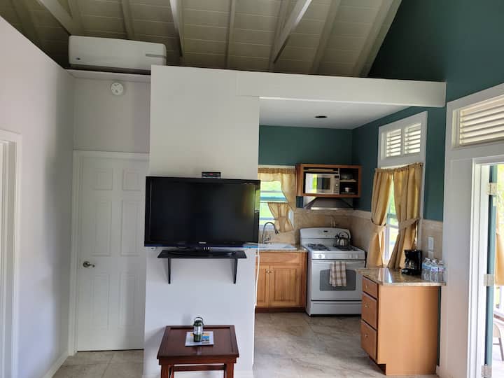 Top 12 Airbnb Vacation Rentals In Nevis, Saint Kitts and Nevis