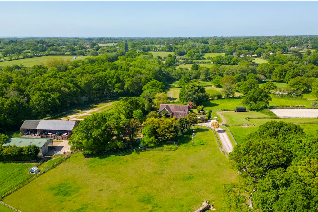 Buzzard View lovely farm stay in the New Forest