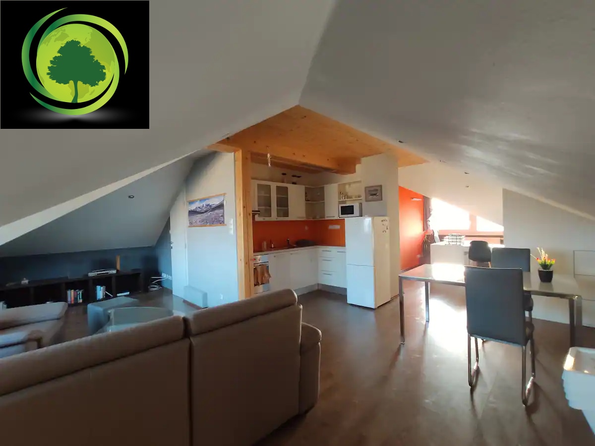 An open-plan living area features a comfortable seating arrangement and a dining table. A well-equipped kitchen is visible, with modern appliances and ample storage. Natural light streams through the angled roof, enhancing the warm wood tones of the ceiling and the colorful accent wall.