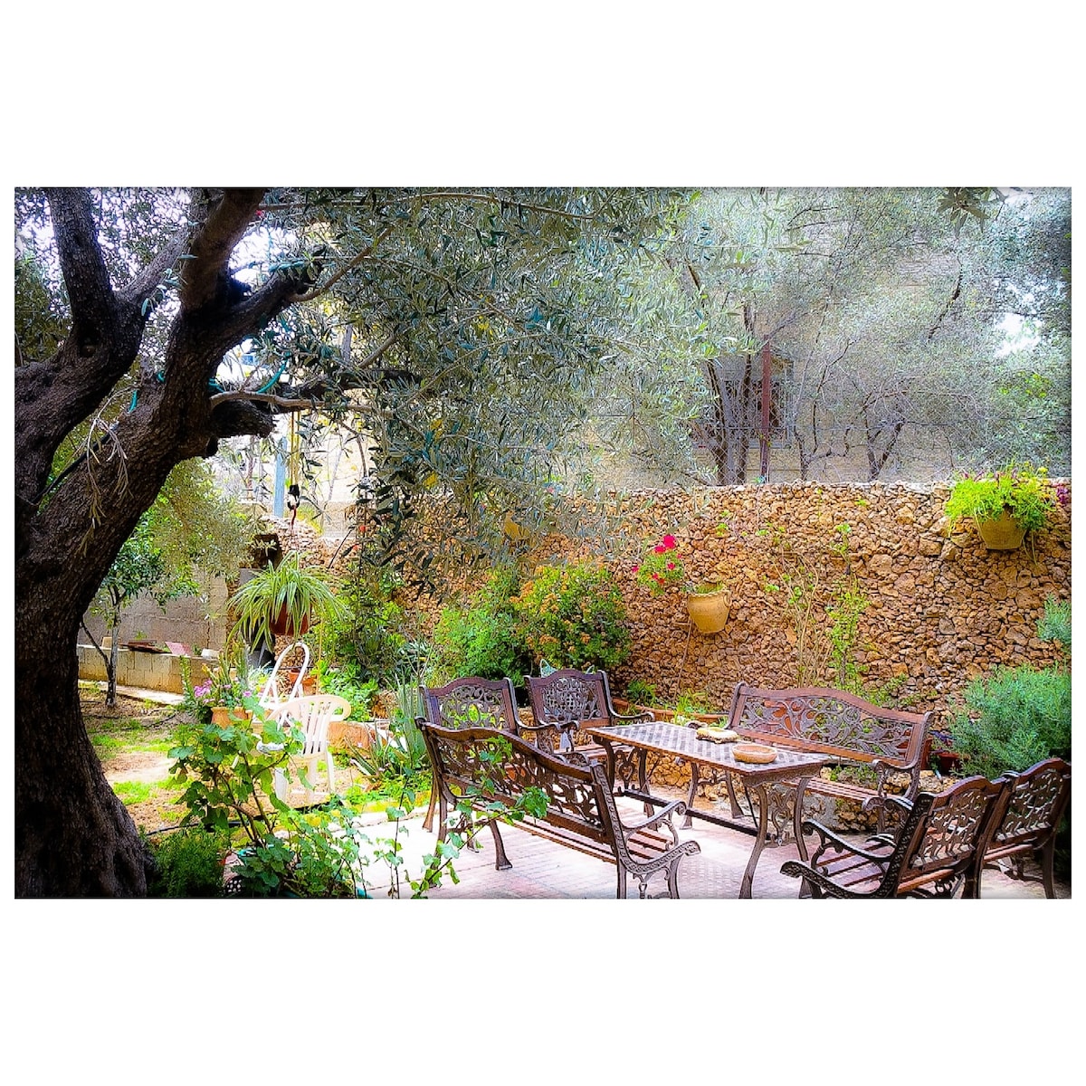 A serene garden space is presented, featuring a gathering area with ornate benches surrounded by lush greenery. An olive tree provides shade, while colorful plants add vibrancy to the scene. A stone wall forms a rustic backdrop, enhancing the tranquil outdoor environment.