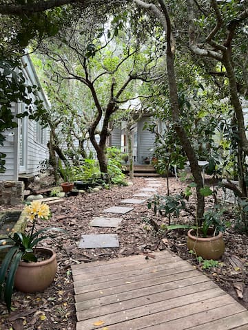 Beach Forest Hideaway