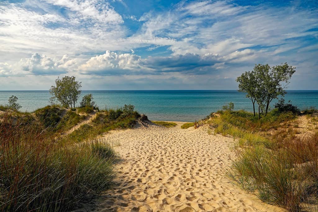 A serene view of a sandy path leading to a tranquil beach. Dunes covered in grass frame the scene, with a gentle stretch of Lake Michigan visible in the background. A few trees add greenery, and the sky is dotted with clouds, creating a peaceful atmosphere.