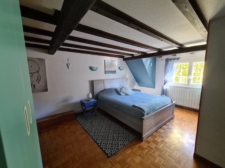 Habitación 1