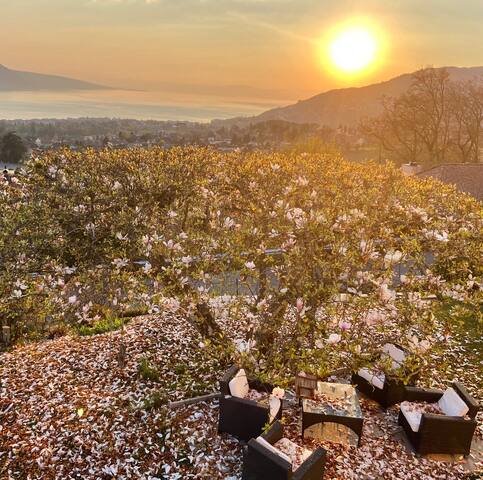 Montreux/Blonay/St Legier Amazing Views gallery image 3