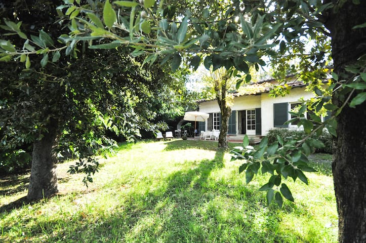 GoGuest managed Airbnb listing 3