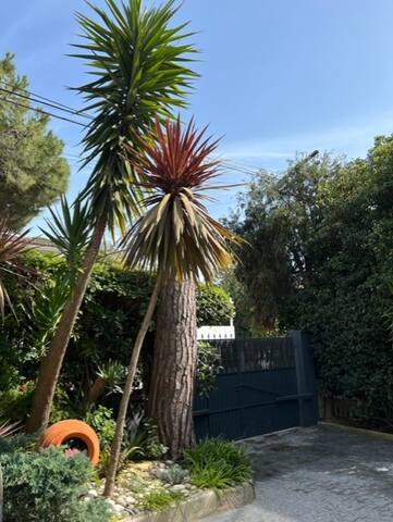 Buganvilia Garden Pool – 300m from the beach gallery image 3