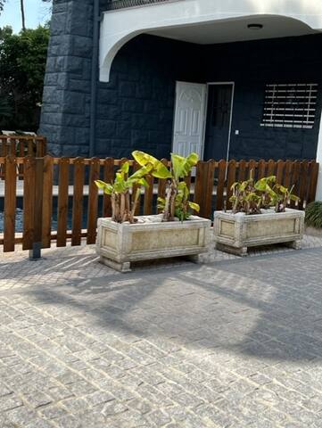 Buganvilia Garden Pool – 300m from the beach gallery image 2