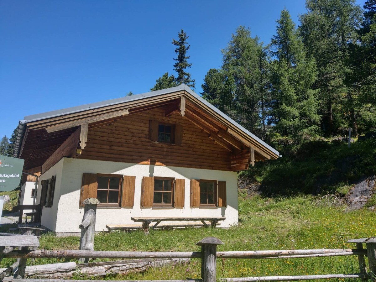 The chalet is presented with a wooden facade, featuring traditional shutters and a sloping roof. A picnic-style bench is visible in front, surrounded by greenery and wildflowers. Tall trees and a clear blue sky provide a serene backdrop.