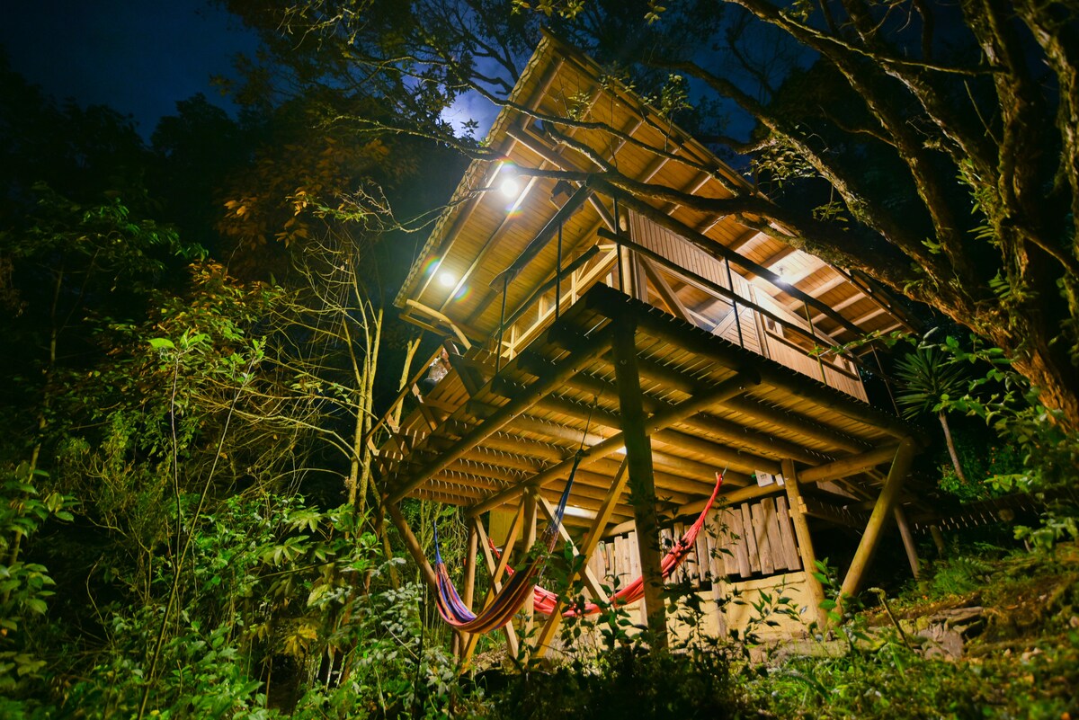 The elevated cabin is surrounded by lush greenery, illuminated softly by outdoor lighting. Multiple hammocks hang under the wooden structure, inviting relaxation. The night sky is visible above, enhancing the tranquil atmosphere of the forest setting.