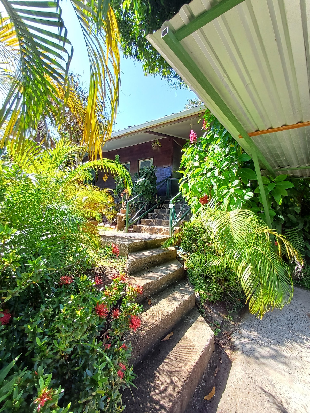 A pathway lined with lush greenery and vibrant flowers leads up to the entrance of a welcoming bungalow. The stone steps are flanked by various tropical plants, while a shaded area provides a glimpse of a roof overhead, enhancing the natural ambiance.