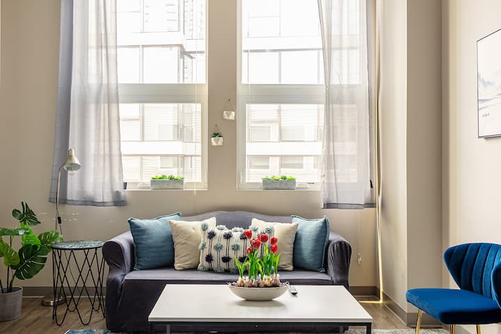 Airbnb Near Soldier Field