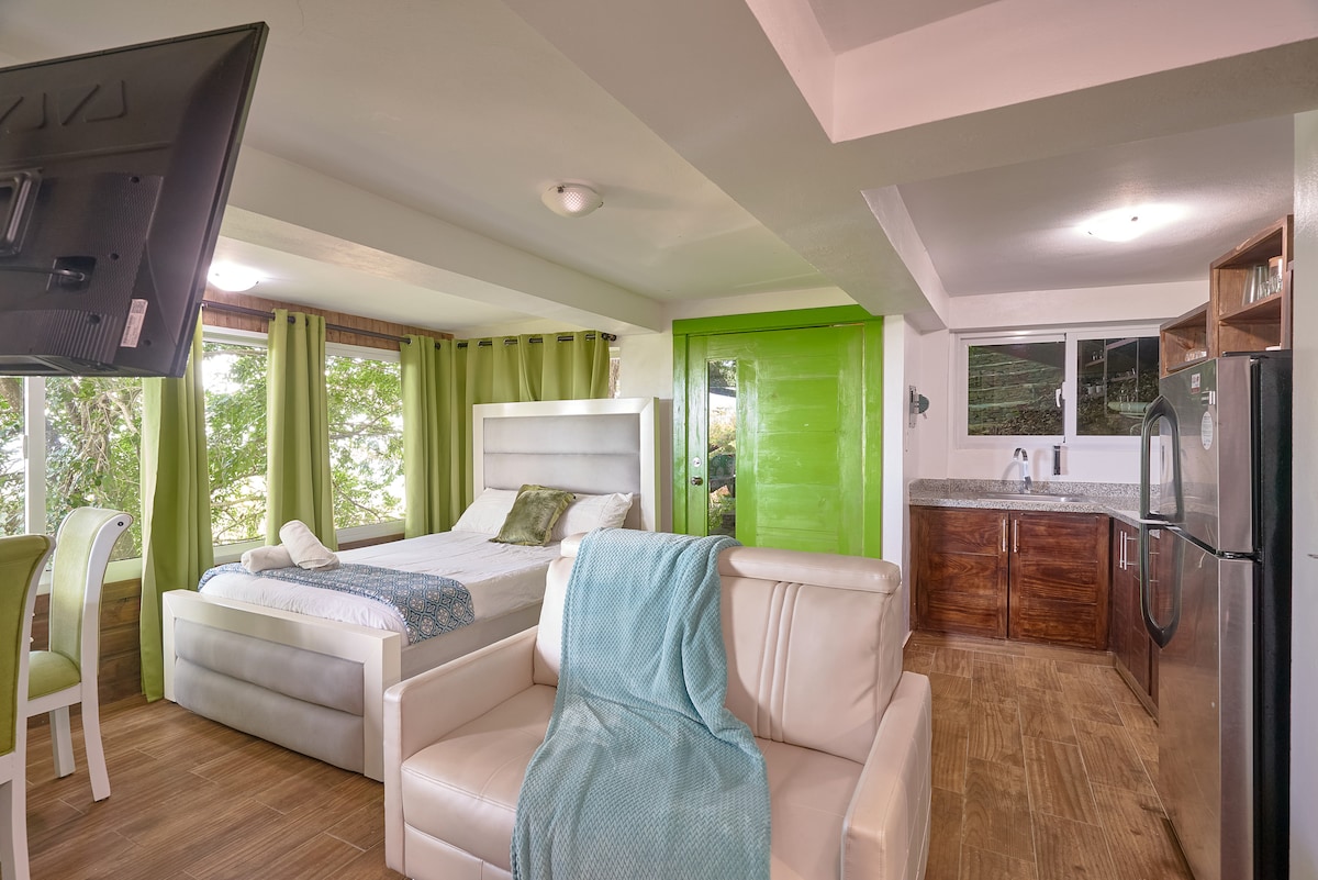 A bright studio apartment features a spacious bed with a decorative throw. Light green curtains frame the large windows, offering natural light and views of the surrounding nature. A comfortable sofa sits near the kitchenette, where wooden cabinetry complements the modern appliances.