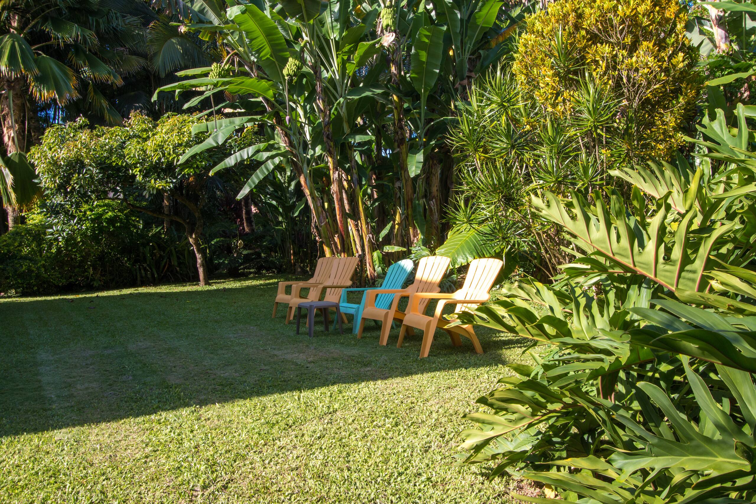 Home in Hanalei · ★4.97 · 3 bedrooms · 4 beds · 2 baths - Image 23