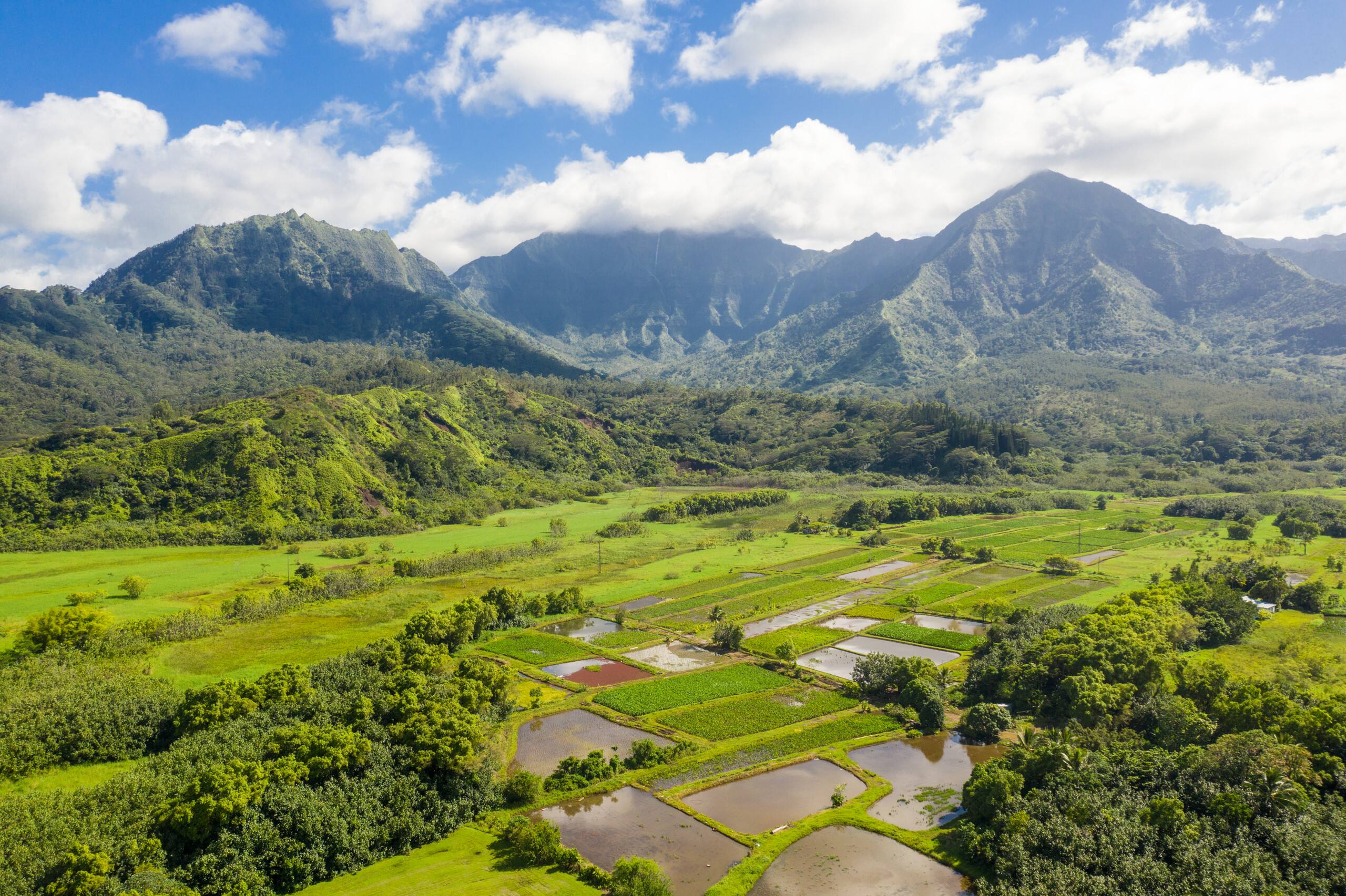 Home in Hanalei · ★4.97 · 3 bedrooms · 4 beds · 2 baths - Image 25