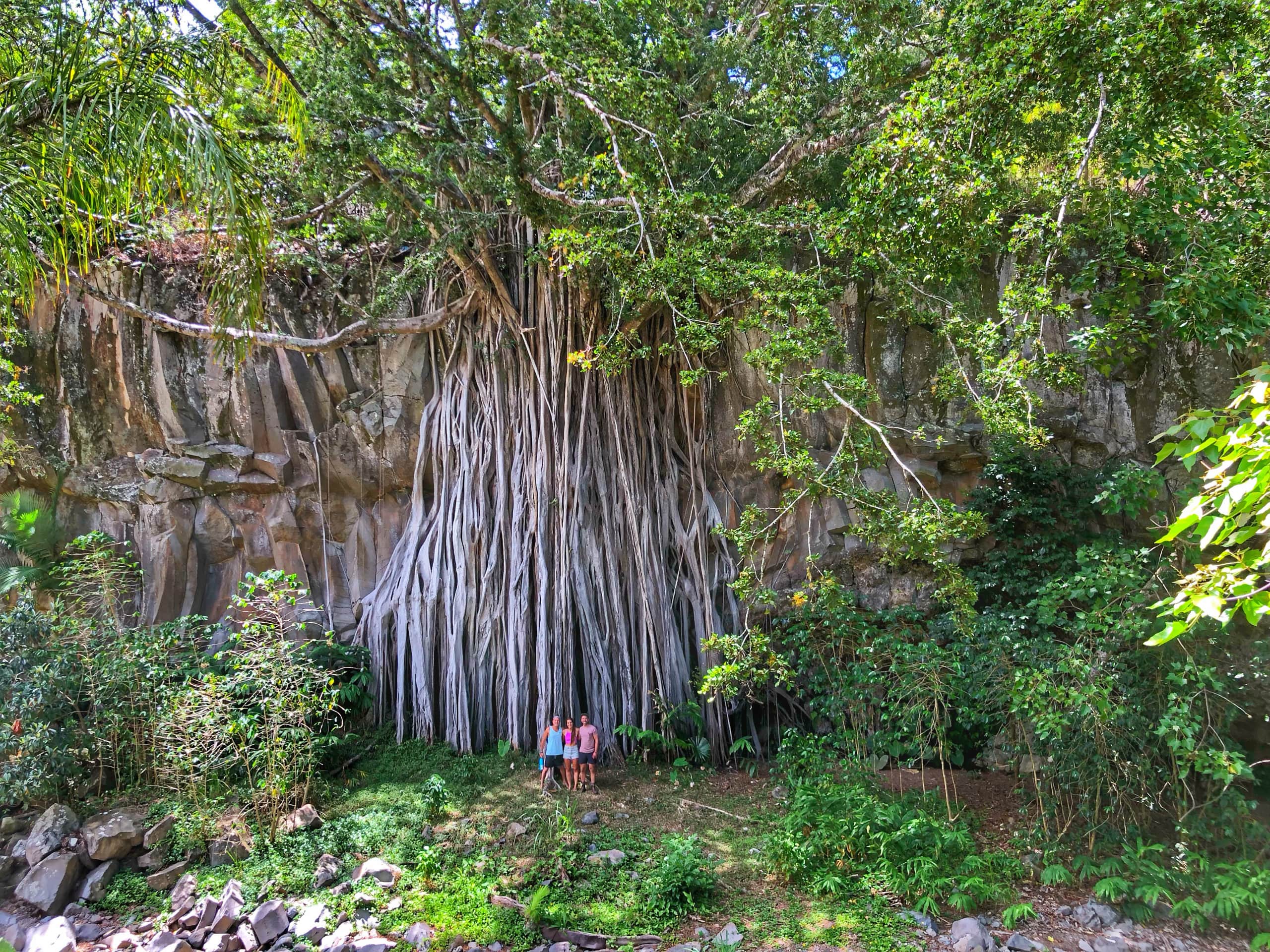 Maliko Retreat - Image 16
