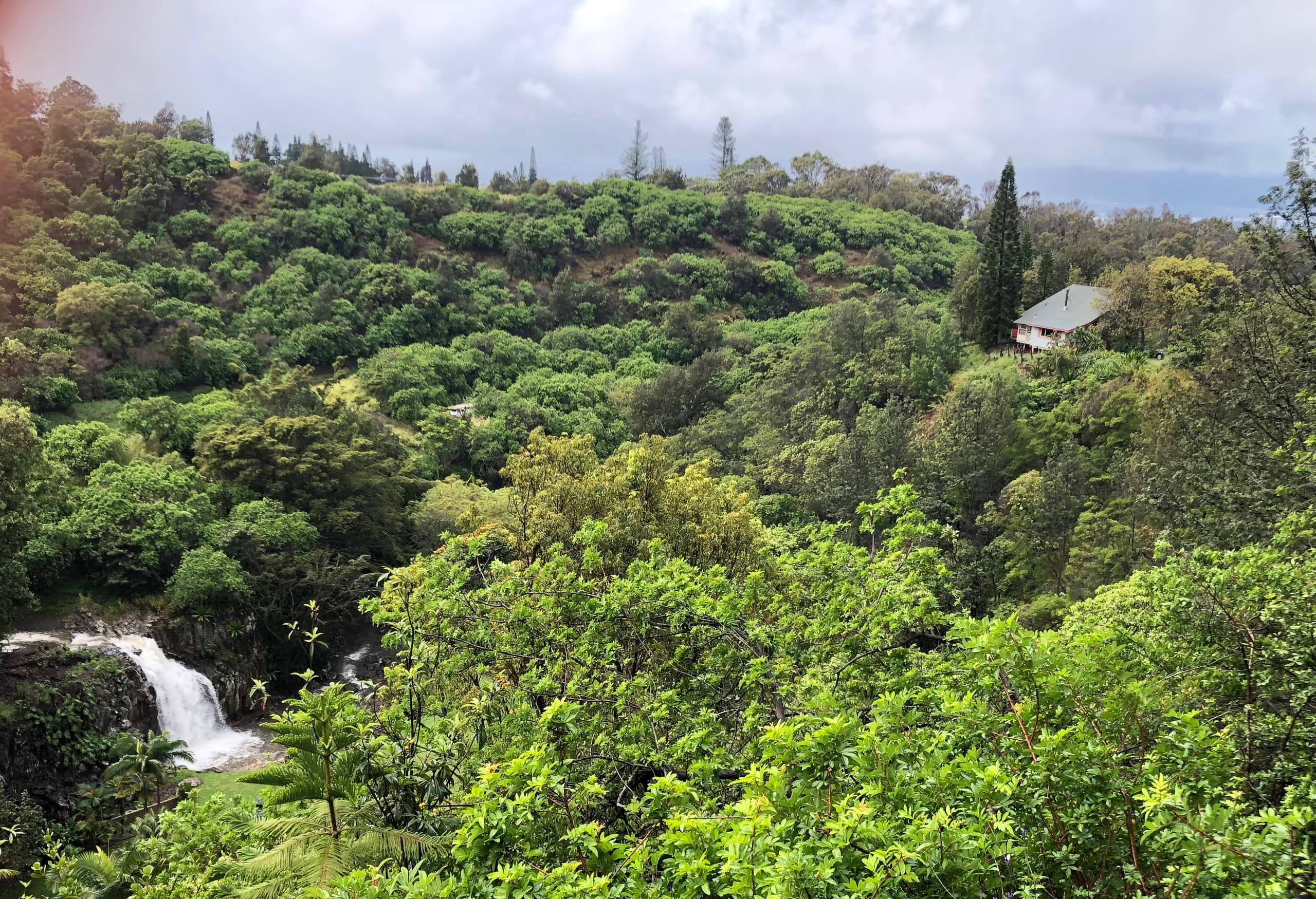 Maliko Retreat - Image 12