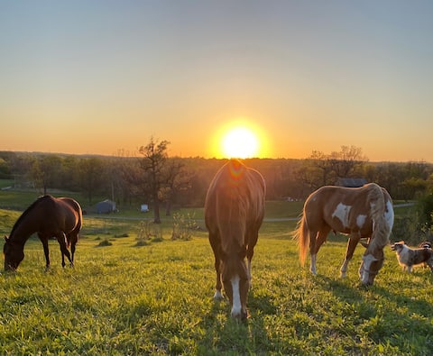 Hippie Hills - Cozy Country Lodging and a Hot Tub
