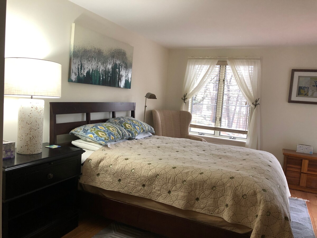 חדר שינה לאורחים עם מיטת קווין סייז