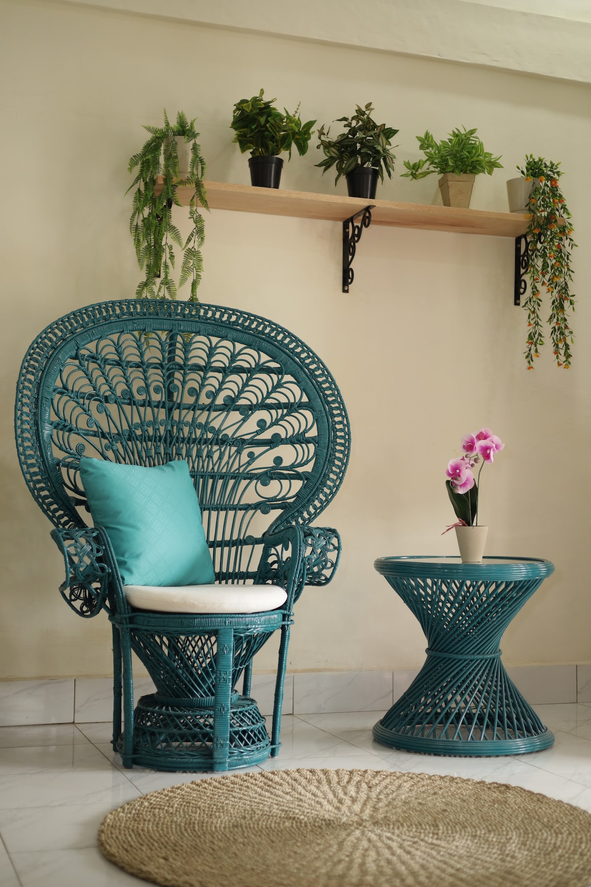 A vintage-style peacock chair in teal is positioned next to a round side table. A plush cushion enhances seating comfort. Above, a wooden shelf displays an assortment of potted plants, adding greenery and vibrancy to the space. A natural fiber rug anchors the area.