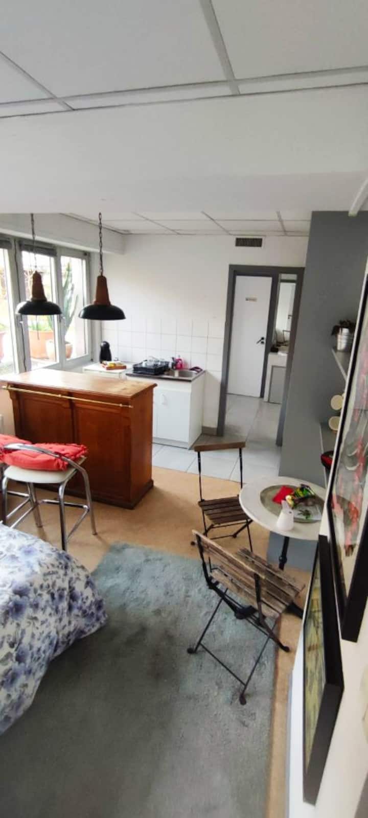 Strasbourg centre Apartments for Rent in Strasbourg, Grand Est