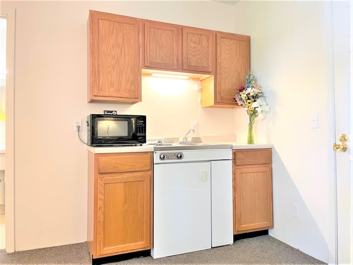 Apt. 1 -  En-suite Bath, Roku, Kitchenette, Queen - アントワープ, OH