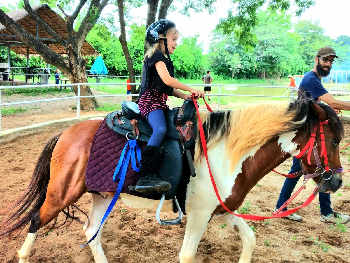 A child is seated on a small pony, wearing a helmet for safety. A saddle is cushioned with a quilted pad in dark colors. A handler walks alongside the pony, while trees and a shaded area can be seen in the background, contributing to the outdoor atmosphere.