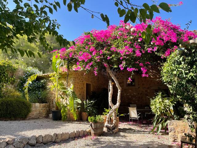 18th century country house 5BD + pool gallery image 3