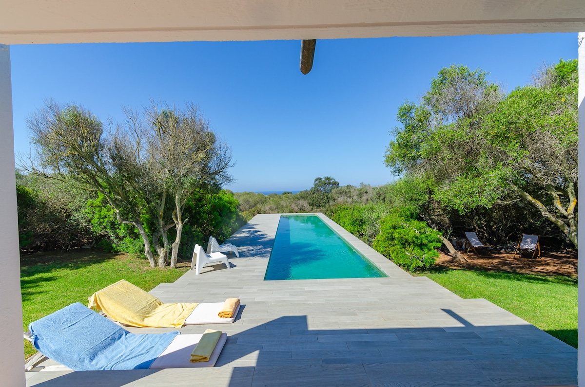 A serene outdoor space showcases a long swimming pool framed by lush greenery. Sun loungers with soft towels are positioned nearby, inviting relaxation. The clear blue sky is visible in the background, enhancing the tranquil atmosphere of the setting.