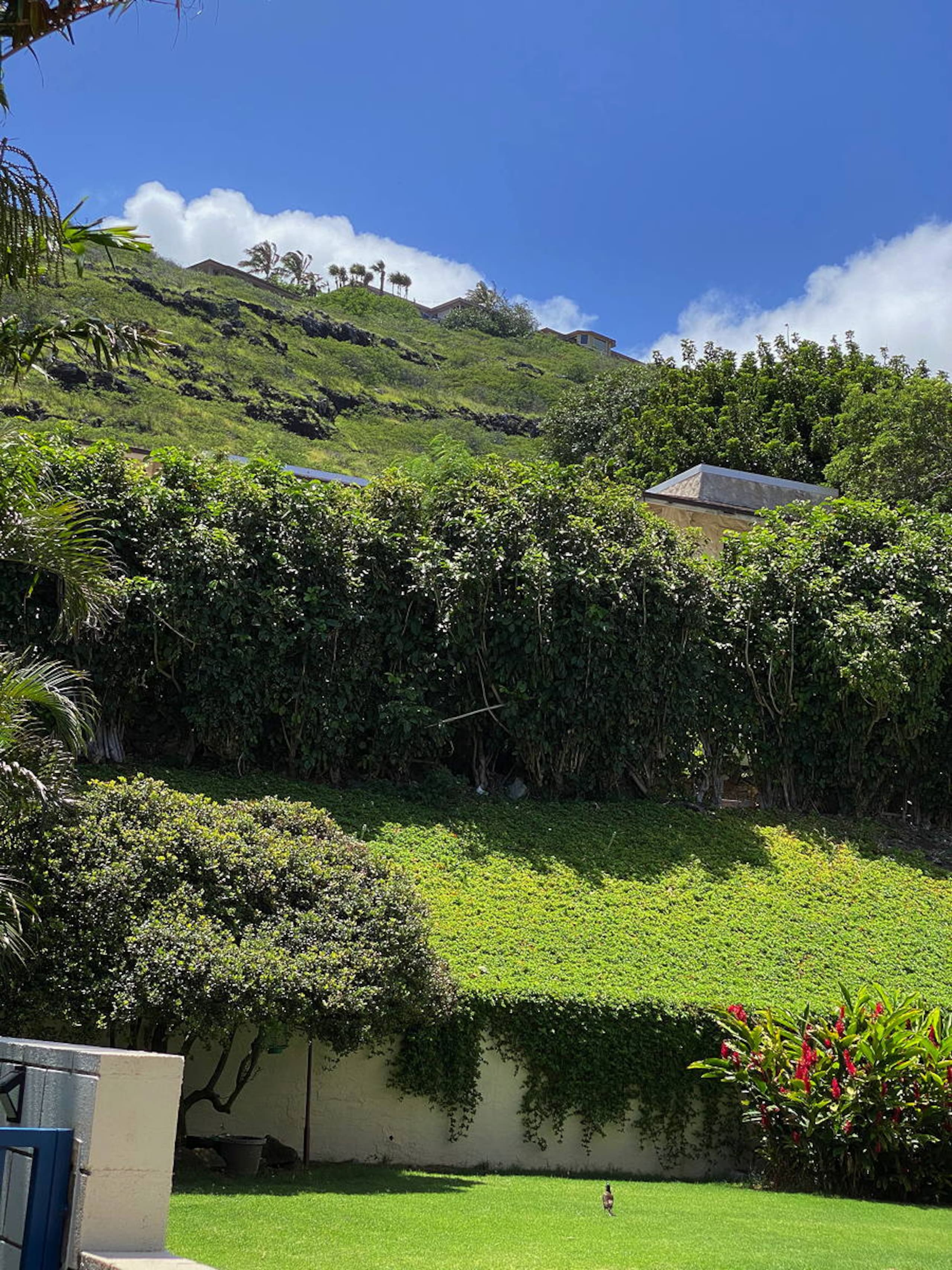 Kalama Valley Studio Apartment - Image 7