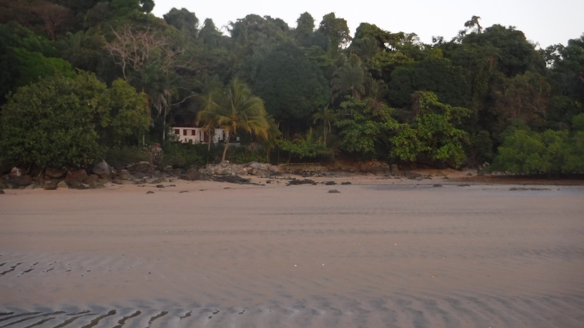 A serene beach scene is depicted with soft sand visible in the foreground. Lush greenery surrounds the area, with a cozy house nestled among trees in the background. The shoreline features gentle waves lapping against rocks, creating a tranquil atmosphere.