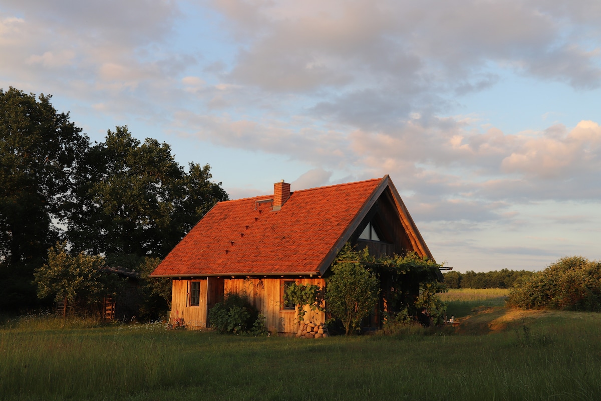 A rustic wooden holiday home is positioned among open fields, surrounded by greenery. The sloped roof features red tiles, and climbing plants add a touch of nature to the entrance. The soft glow of sunset illuminates the scene, highlighting the tranquil setting.