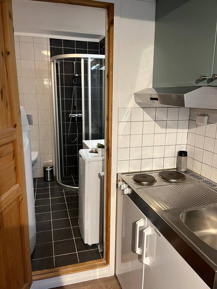 Cozy apartment in Lillehammer. Free parking.