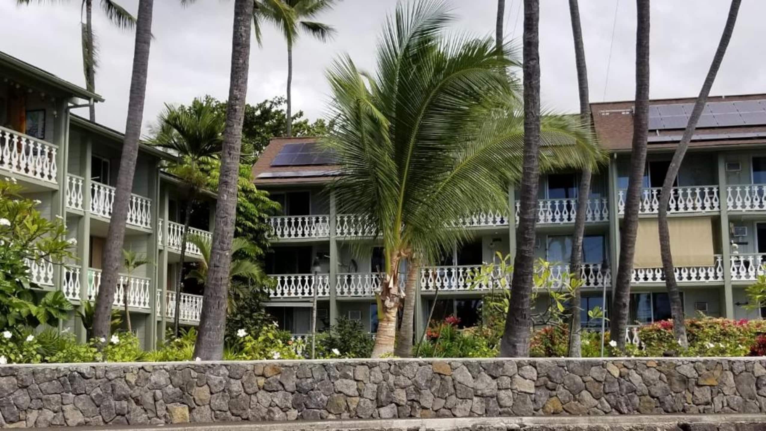 Condo in Kailua-Kona · ★4.79 · 1 bedroom · 2 beds · 1 bath - Image 40