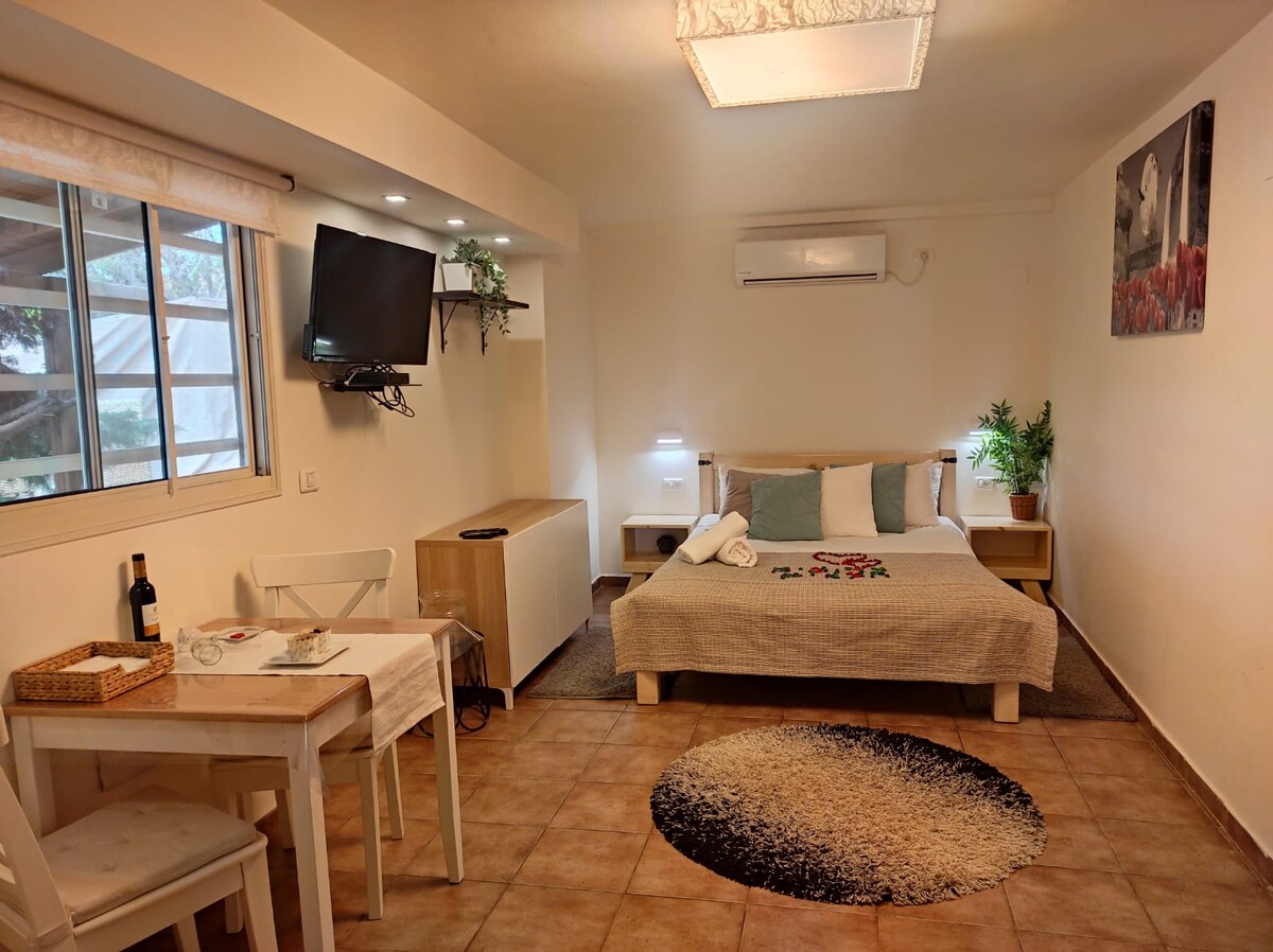 A clean and well-equipped room features a spacious bed with neutral bedding and a decorative throw. A small dining table with two chairs is positioned beside a window. An air conditioning unit and a television are mounted on the wall, alongside a potted plant, adding a touch of greenery.