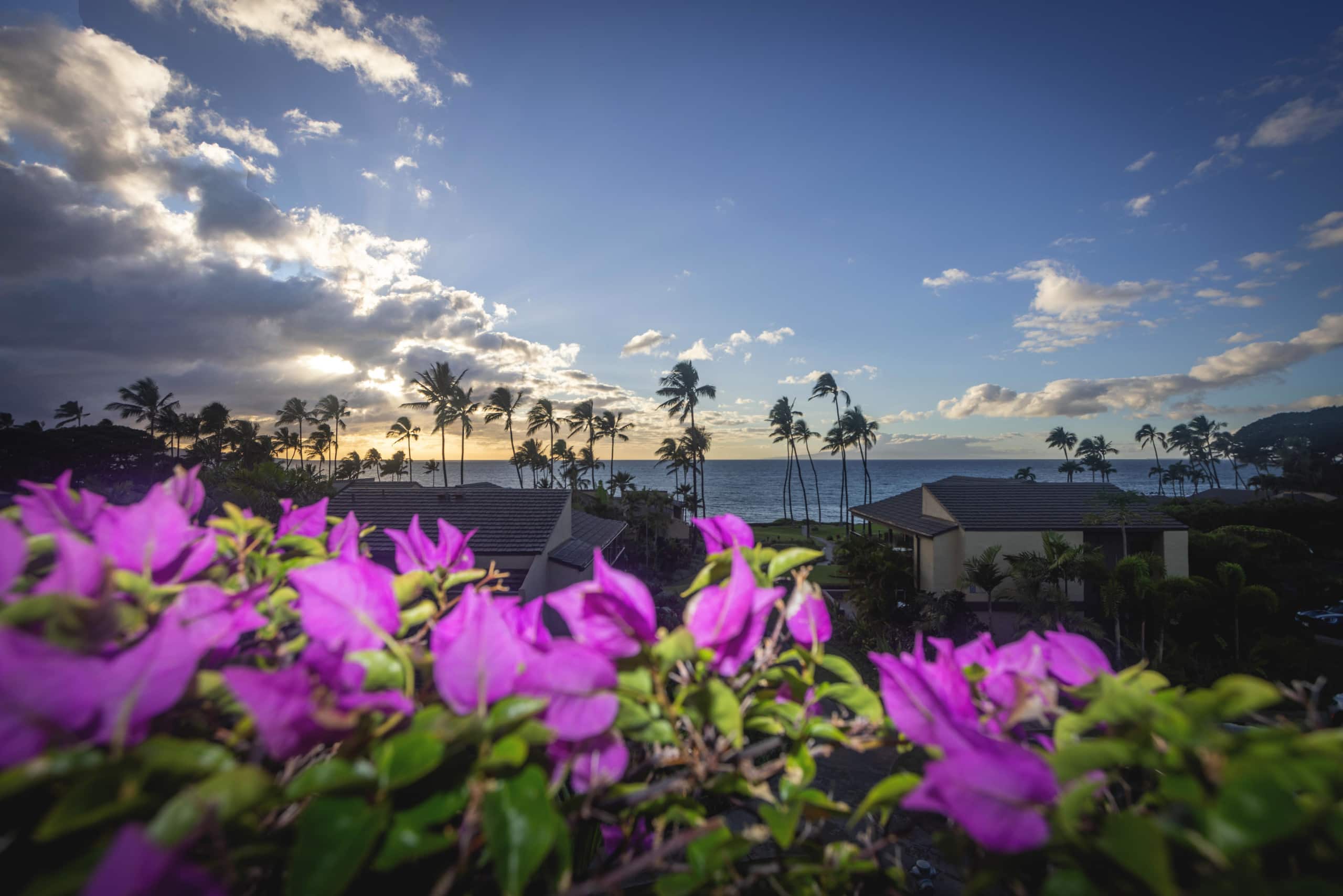 Condo in Kihei · ★4.99 · 2 bedrooms · 3 beds · 2 baths - Image 40