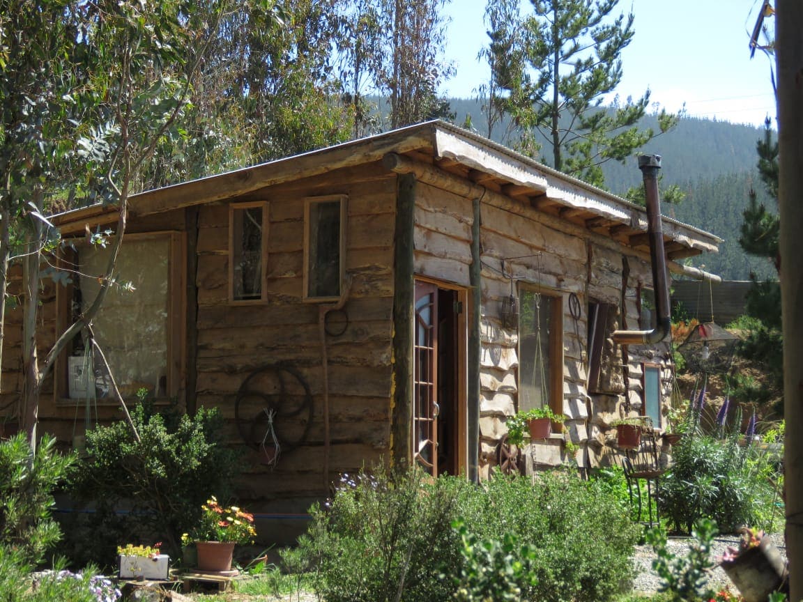 A rustic cabin, constructed from logs, is framed by lush greenery and various plants. Natural light filters through the windows, reflecting the tranquil surroundings of trees and mountains in the background.