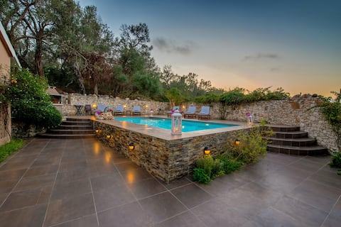 Vasia Artists villas