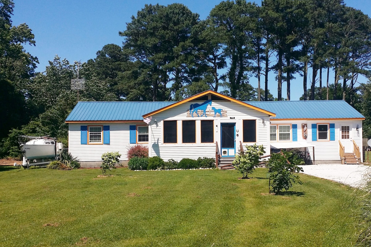 A charming house is situated on a spacious green lawn, surrounded by trees. The building features a bright blue metal roof and welcoming front entrance. Clear blue skies enhance the inviting atmosphere of the exterior, showcasing a well-maintained landscape with colorful plants.
