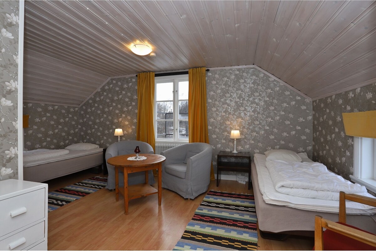 По албинторпет главната спална соба со противпожарна скала надвор од прозорецот