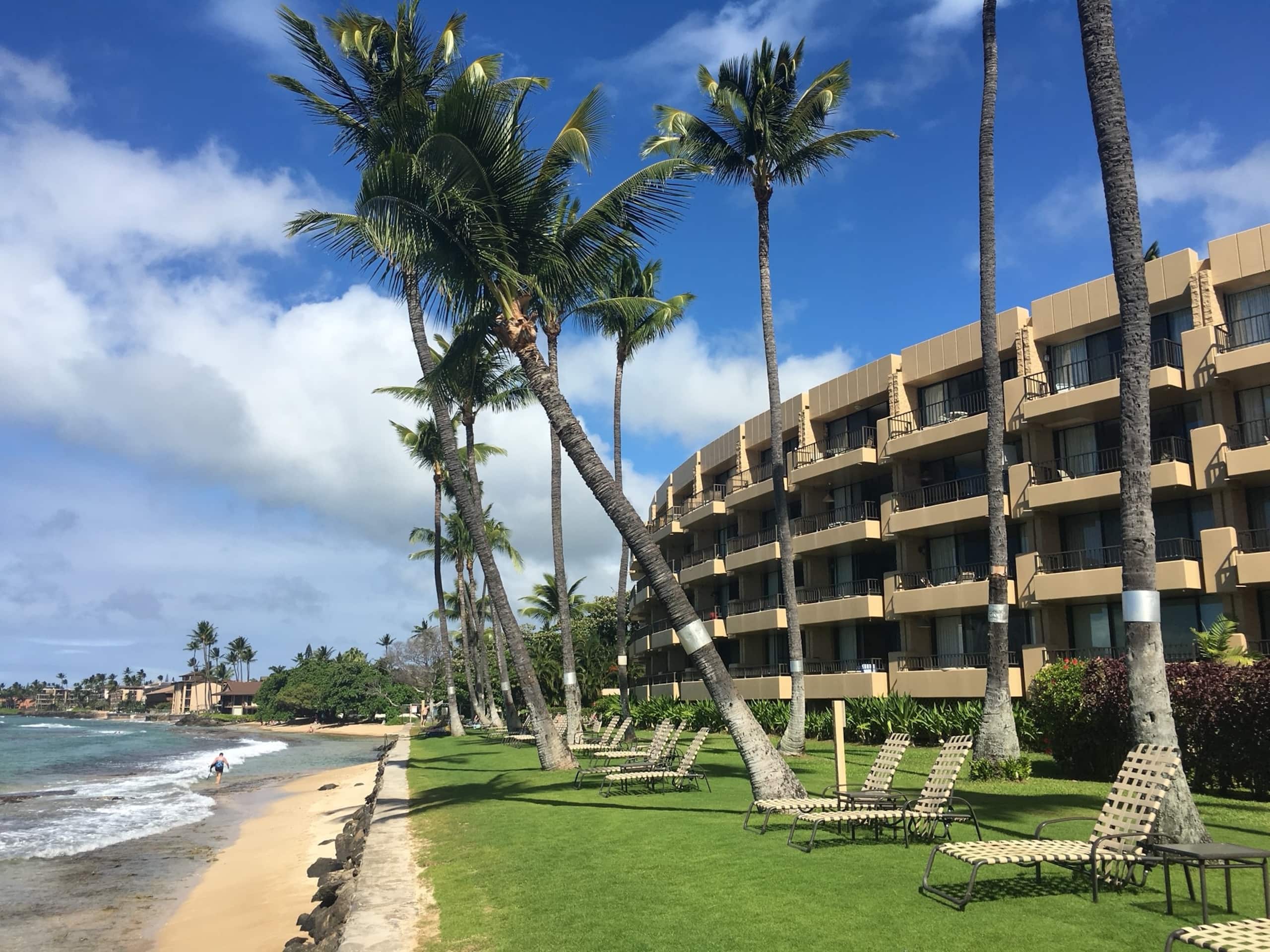 Condo in Lahaina · ★4.97 · Studio · 1 bed · 1 bath - Image 2