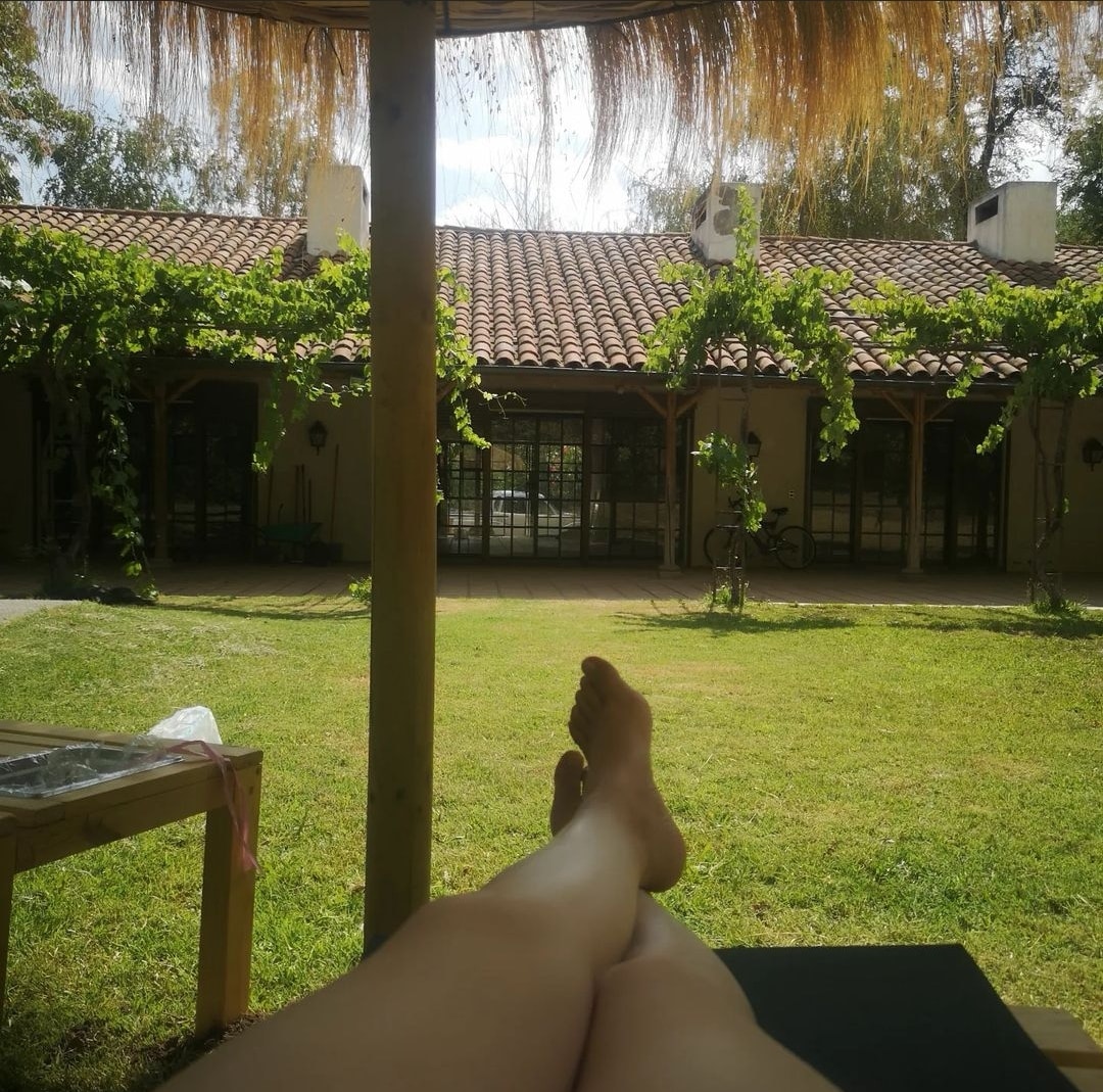 A serene outdoor space is captured, featuring lush green grass and a traditional thatched roof structure. Wooden posts support the roof while vines gracefully drape, enhancing the natural setting. The view reveals a peaceful villa with large windows set against rustic tile roofing.