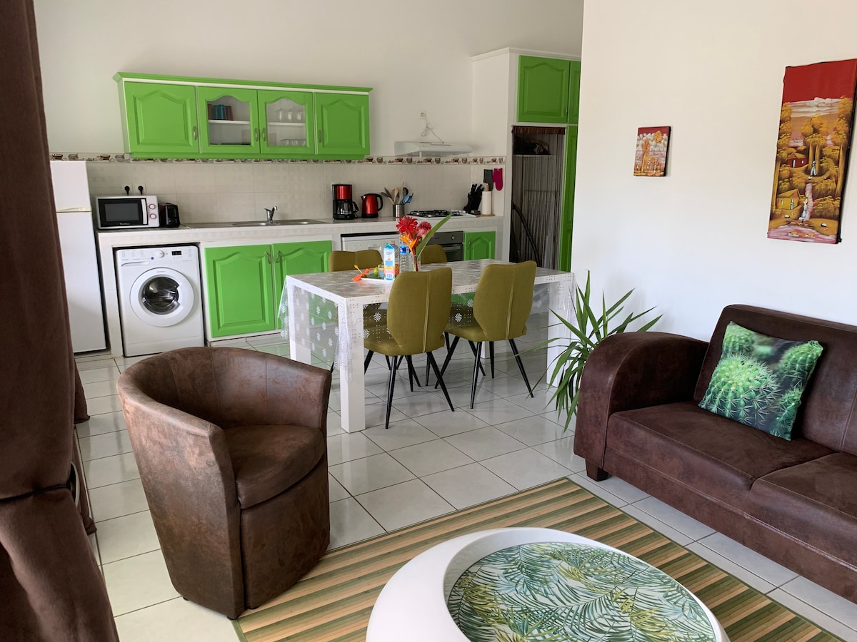 A bright kitchen area features green cabinetry and white countertops, equipped with a refrigerator, microwave, and washer. A dining table surrounded by four chairs is positioned nearby. A cozy living space includes a comfortable brown sofa and two rounded armchairs, with plants adding a touch of greenery.