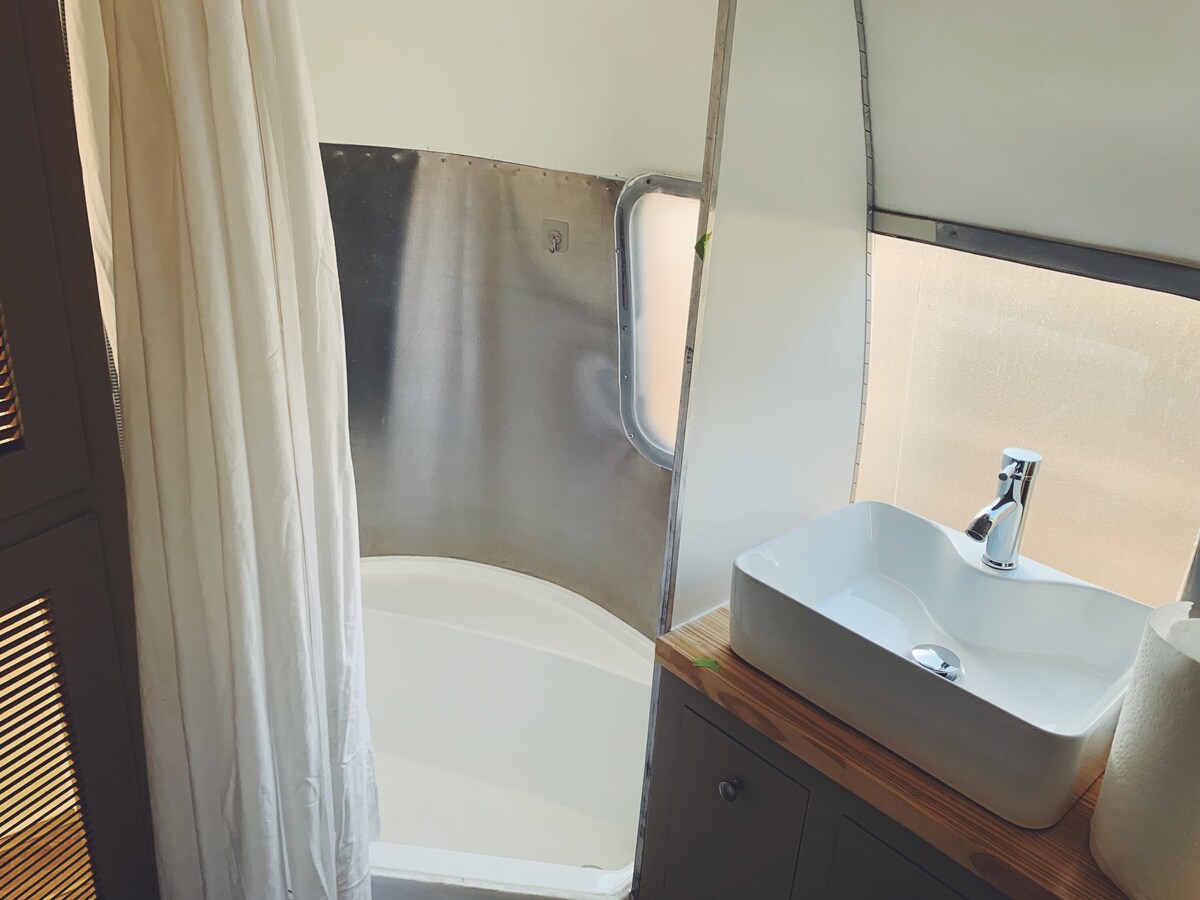 Elevated Airstream in Walkable East Austin