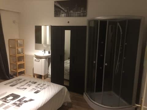 Furnished room with shower and private sink