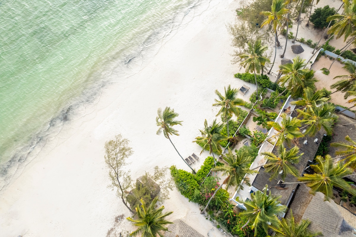 An aerial view captures the beachfront property surrounded by lush palm trees. The sandy shore meets the gently lapping waves of the Indian Ocean, showcasing a tranquil and inviting landscape.