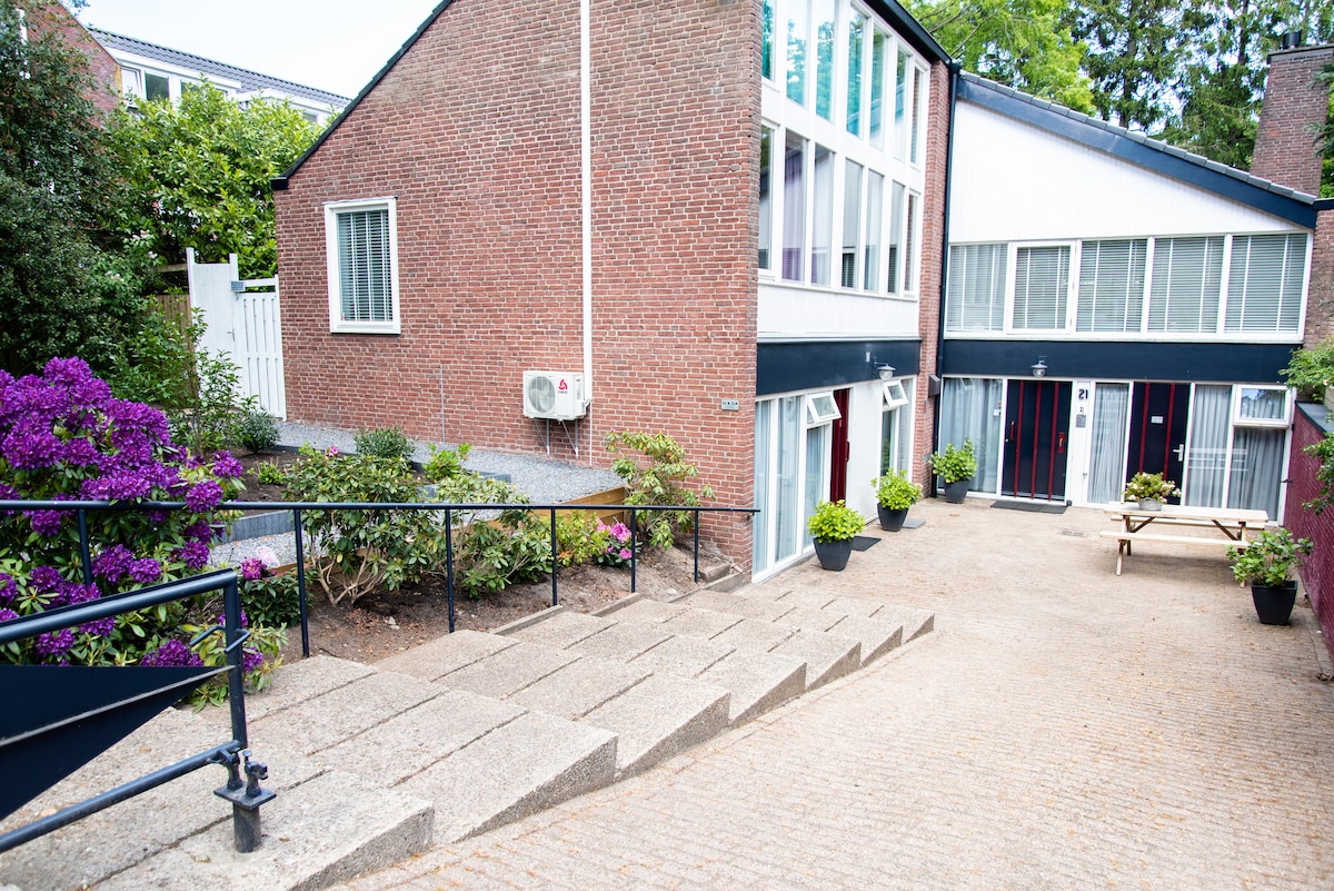 A view of the exterior courtyard, featuring a path leading to the entrance. Planters with green foliage and blooming purple flowers add color. The brick building features large windows, and air conditioning units are visible on the facade, creating a comfortable atmosphere.