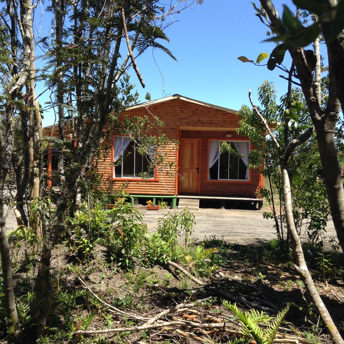 The wooden cabin is framed by native trees, showcasing a welcoming entrance with a pair of large windows. Natural light filters through the surrounding greenery, highlighting the cabin's rustic exterior and inviting ambiance.